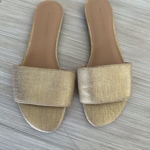 Banana Republic Gold Flats